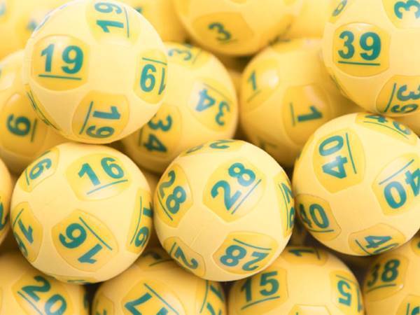 Nuôi loto khung 2 ngày là gì? Bí quyết chơi hiệu quả nhất  
