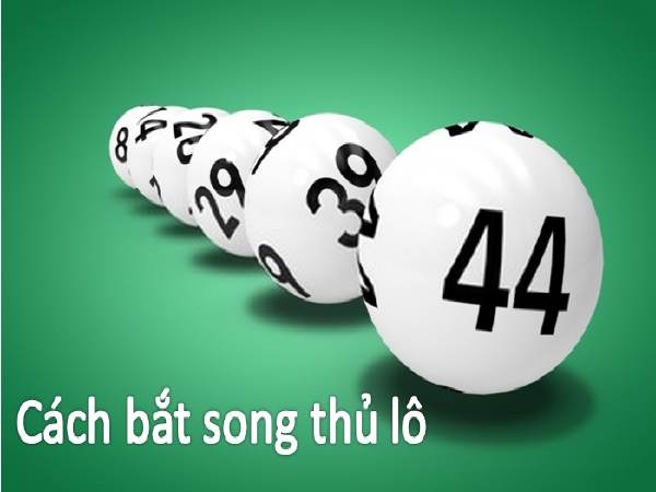 Song thủ lô khung 4 ngày phương pháp nuôi số hiệu quả