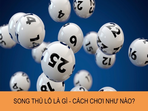 Nuôi song thủ lô khung 5 ngày chìa khóa đến thành công Nuôi song thủ lô khung 5 ngày chìa khóa đến thành công