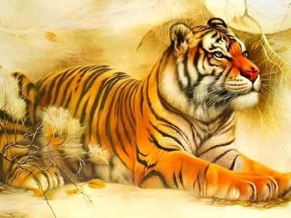 Vài nét về tuổi Bính Dần hôm nay ngày 29/5/2025 thứ 5