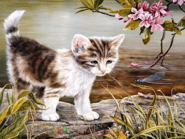Con số may mắn tuổi Mão ngày 22/7/2025 dễ trúng Con số may mắn tuổi Mão ngày 22/7/2025 dễ trúng