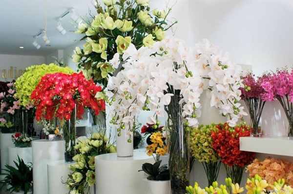 Mơ thấy hoa giả là điềm lành hay vận hạn công danh?