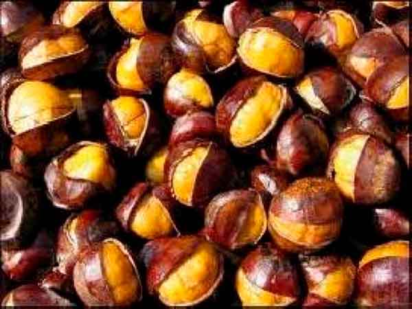 Nằm mơ thấy quả hạt dẻ và những điều bí ẩn, may mắn liên quan