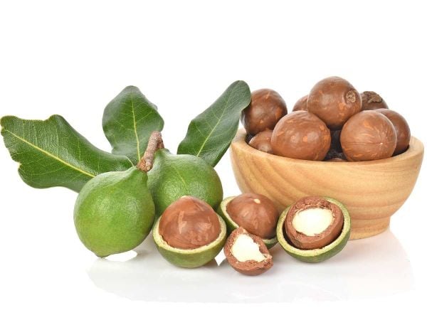 Nằm mơ thấy quả macca có cảnh báo gì