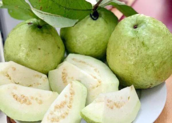 Mơ thấy quả ổi có phải dấu hiệu tài lộc sắp tới không?