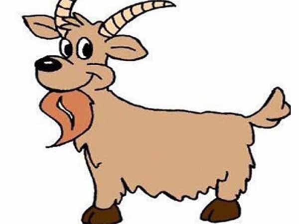 Vài nét về tuổi Ất Mùi hôm nay ngày 17/9/2025 thứ 4